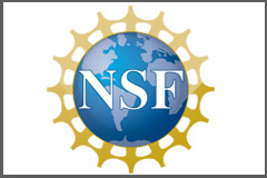 National Science Foundation (NSF)